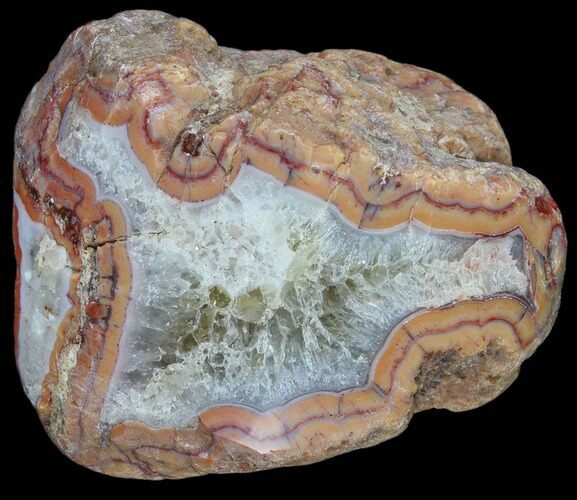 Beautiful Condor Agate From Argentina - Curved Cut Face #79627